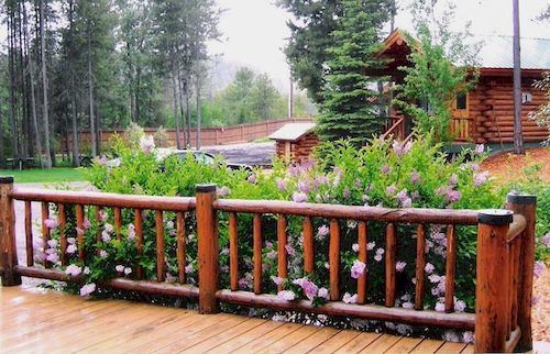 Silverwolf Log Chalets Coram Eksteriør billede